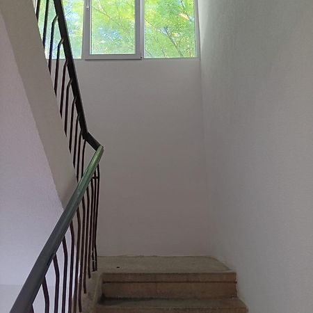 Apartman Sonja Hostel Dubrovnik Exterior foto